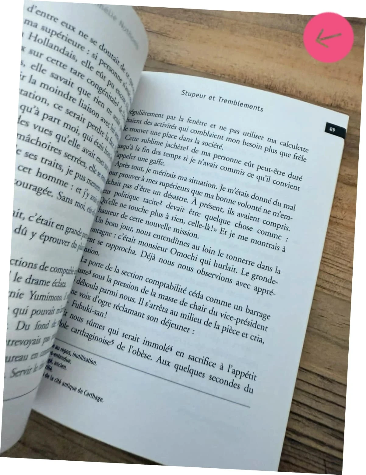 Book, Awe and Tremors – photo 4